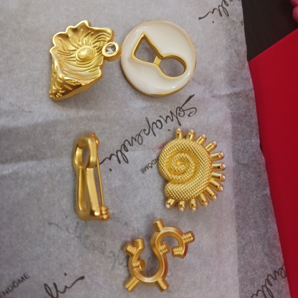 Schiaparelli BUTTON/ brooch Set Of 5 FRANCE